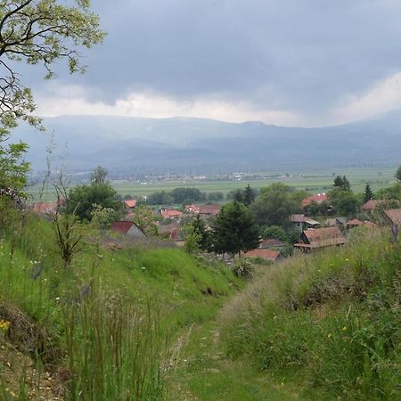 Birdsong Cottage - Peaceful Country Retreat Păuleni-Ciuc Dış mekan fotoğraf