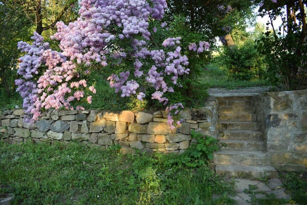Birdsong Cottage - Peaceful Country Retreat Păuleni-Ciuc Dış mekan fotoğraf