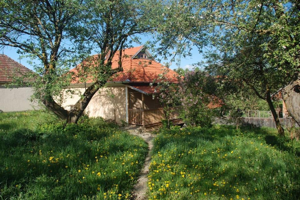 Birdsong Cottage - Peaceful Country Retreat Păuleni-Ciuc Dış mekan fotoğraf