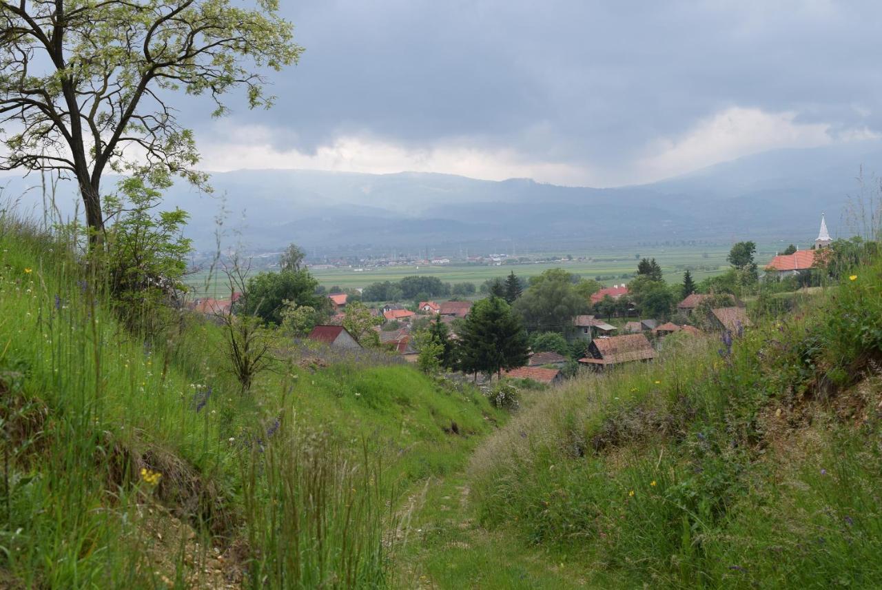 Birdsong Cottage - Peaceful Country Retreat Păuleni-Ciuc Dış mekan fotoğraf